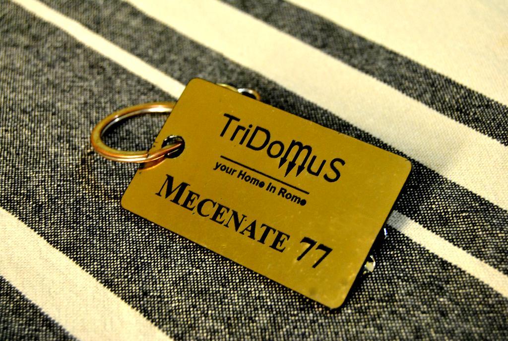 Tridomus Apartment - Mecenate 77 Roma Dış mekan fotoğraf